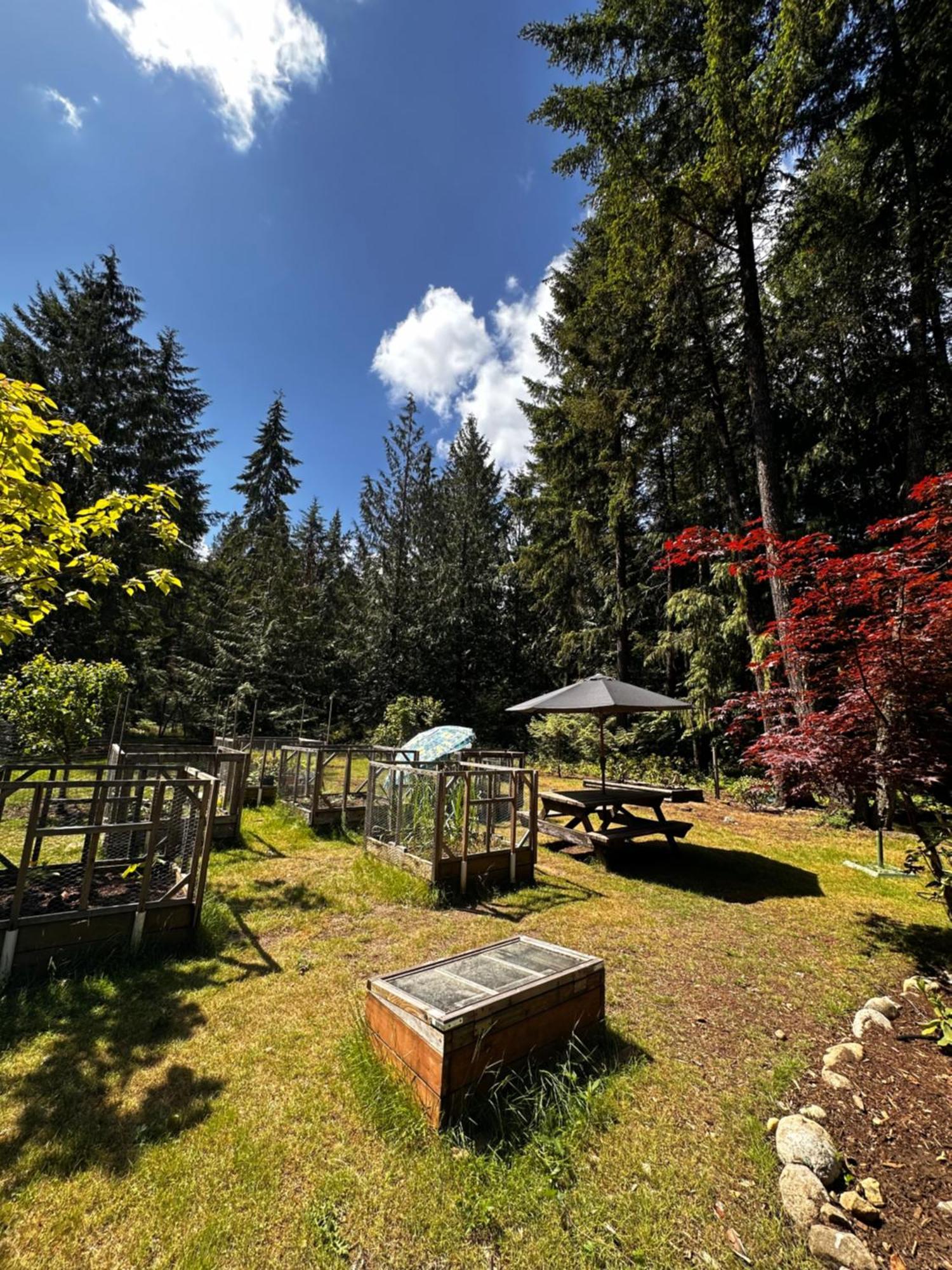 Cedar Song B&B Parksville Eksteriør billede